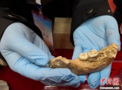 夏河丹尼索瓦人研究成果入选《科学》年度十大